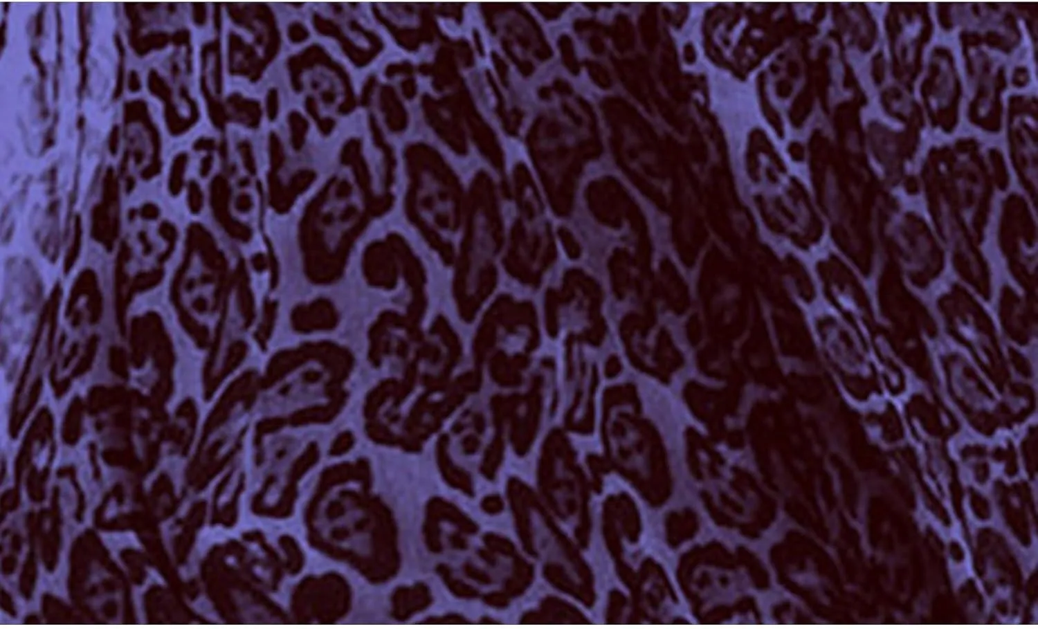 Summer Dresses for Women 2025 Elegant Leopard Maxi Dresses Spaghetti Strap V Neck Dress Summer Backless Sexy Dress